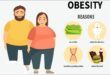 Are you suffering from obesity? Know its reasons and treatment